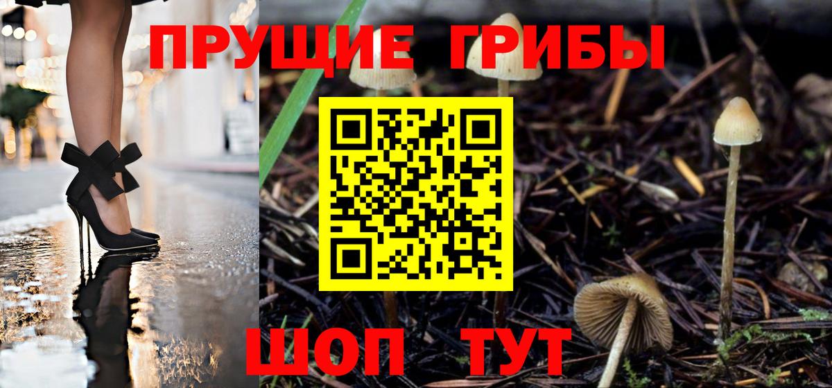 Псилоцибиновые грибы MAGIC MUSHROOMS  Вход с VPN  Биробиджан  Псилоцибиновые грибы прущие грибы 