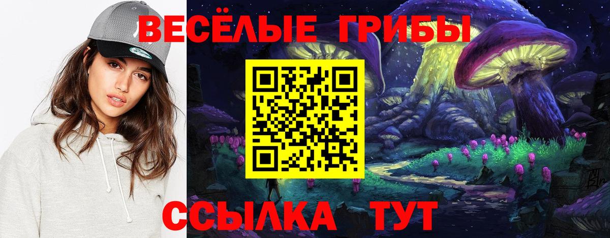 Галлюциногенные грибы Psilocybe Биробиджан
